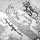 Image for article titled Tears of joy and tears of sadness look different under the microscope